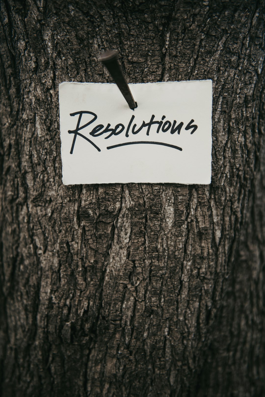 gallery-2 Resolutions | Instagram: @timmossholder
